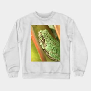 Succulent Tree Frog Crewneck Sweatshirt